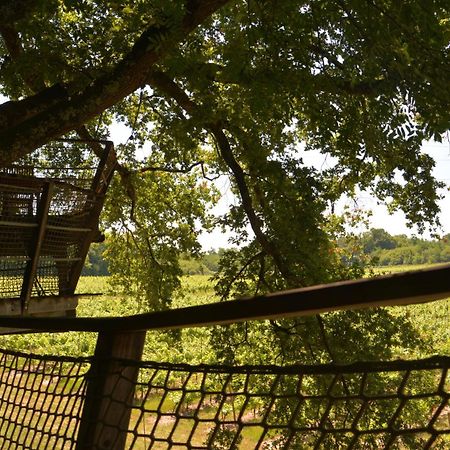 Cabanes De La Romaningue Pompignac ภายนอก รูปภาพ